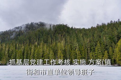 民主生活會實施方案