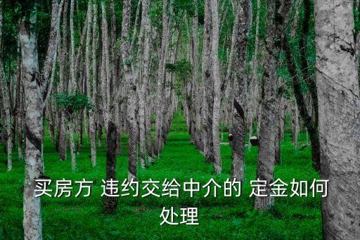 買房付了定金對(duì)方違約怎么辦,退定金的7個(gè)絕招