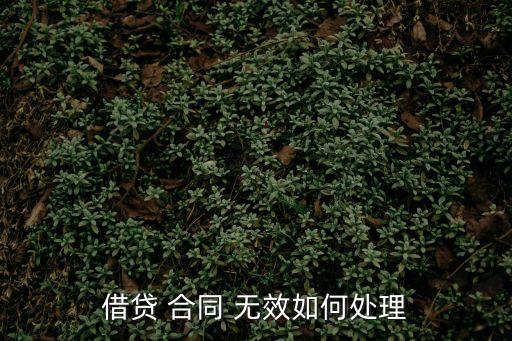 借款合同無效的法律規(guī)定,民法典關于借款合同的法律規(guī)定