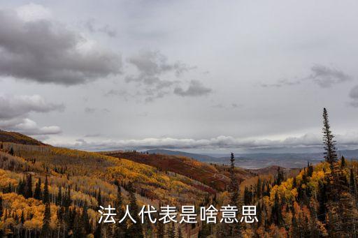 法人代表是什么意思，法人代表意義