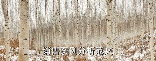 案件分析報告，銷售案例分析范文