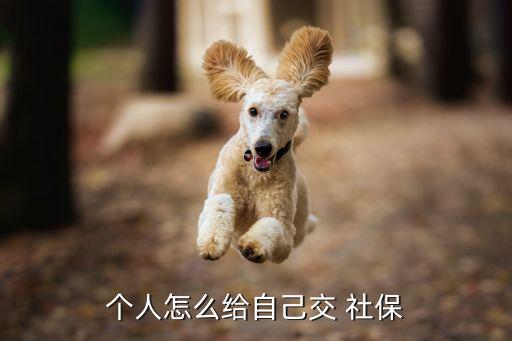 個(gè)人社保怎么交,蕭山區(qū)靈活就業(yè)個(gè)人社保怎么交