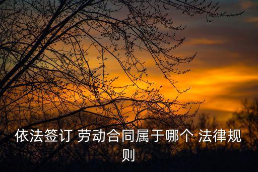勞動(dòng)合同法屬于什么法律條,什么情況屬于違反勞動(dòng)合同法