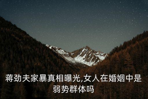 家庭暴力案例,青少年家庭暴力案例