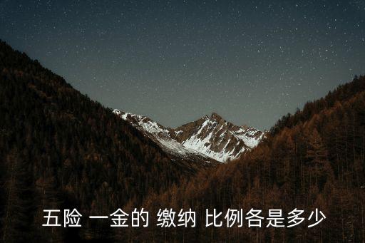  五險 一金的 繳納 比例各是多少