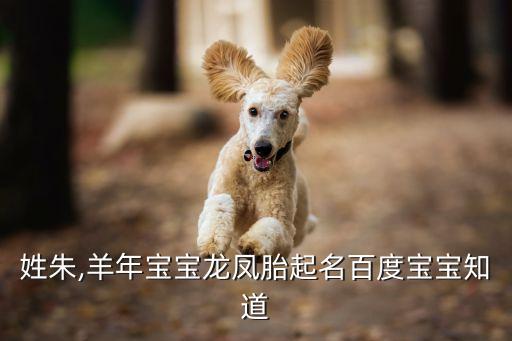 朱文杰
