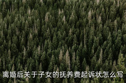 離婚后關(guān)于子女的撫養(yǎng)費(fèi)起訴狀怎么寫