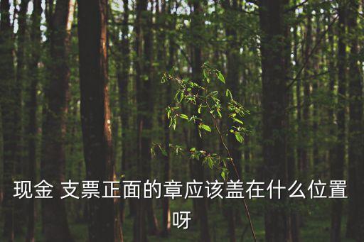 現(xiàn)金 支票正面的章應(yīng)該蓋在什么位置呀