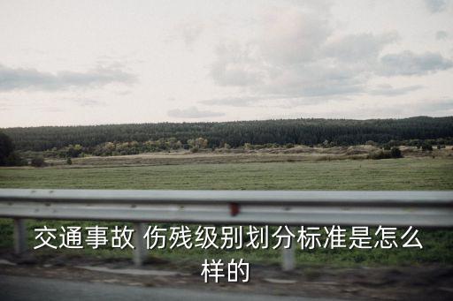 交通事故傷殘等級