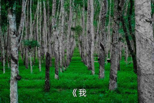 主奴契約