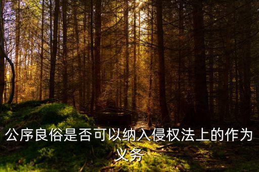 公序良俗是否可以納入侵權(quán)法上的作為義務(wù)
