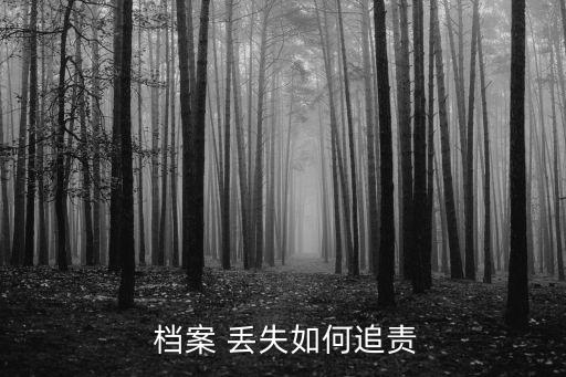  檔案 丟失如何追責(zé)