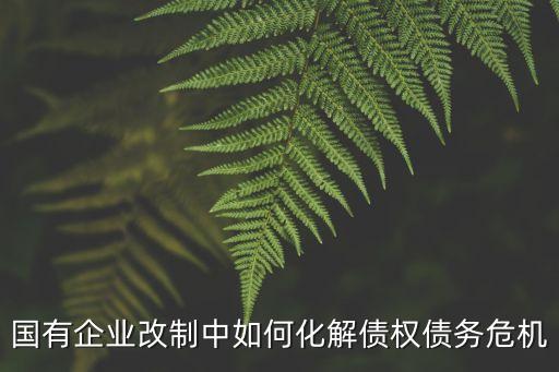 廠中廠