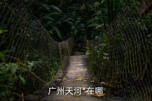 廣州天河*在哪
