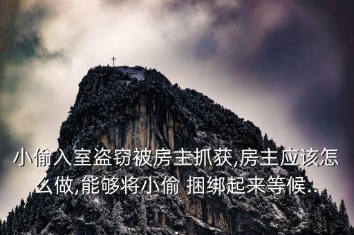 小偷入室盜竊被房主抓獲,房主應(yīng)該怎么做,能夠?qū)⑿⊥?捆綁起來(lái)等候...