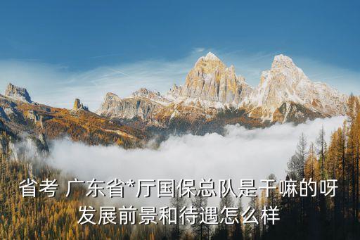 國(guó)保大隊(duì)是干什么的，省考 廣東省*廳國(guó)?？傟?duì)是干嘛的呀發(fā)展前景和待遇怎么樣