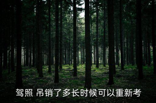 吊銷(xiāo)駕照后多久能重考,超速100%吊銷(xiāo)駕照后多久能重考