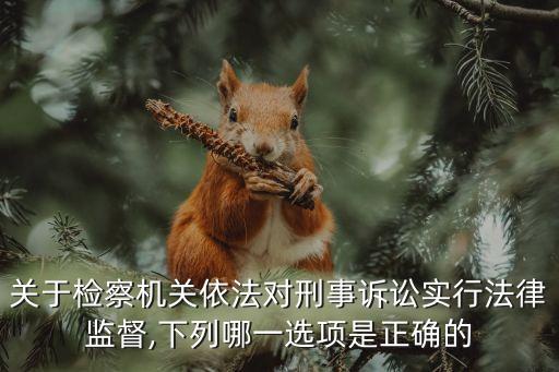 高檢規(guī)則,人民檢察院刑事訴訟規(guī)則