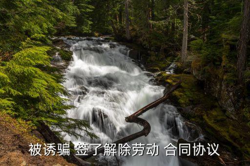 被誘導(dǎo)簽了合同怎么辦,合同無效的12種情形