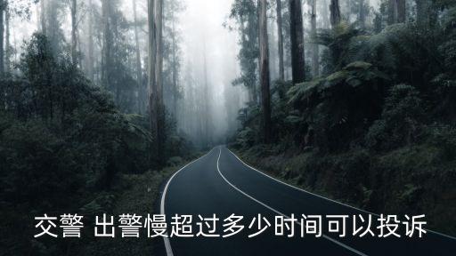  交警 出警慢超過多少時(shí)間可以投訴