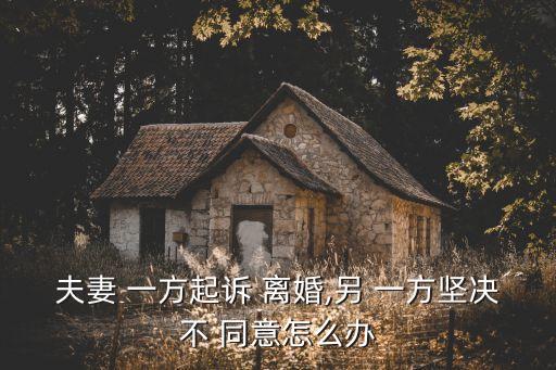 提出離婚另一方不同意怎么辦,老婆提出離婚我不同意能離掉嗎