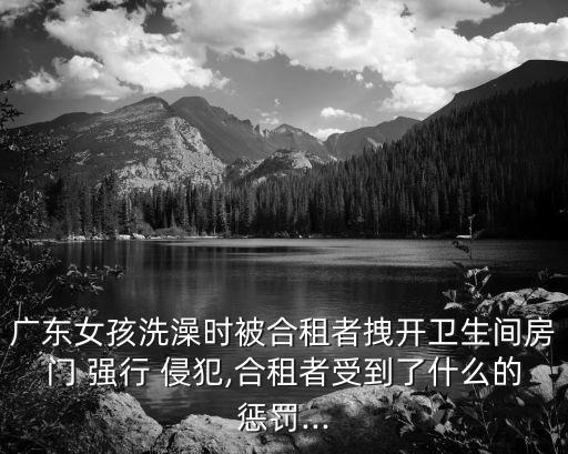 強(qiáng)行侵犯