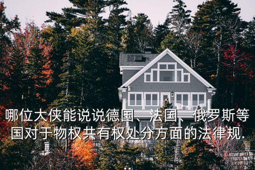 哪位大俠能說(shuō)說(shuō)德國(guó)、法國(guó)、俄羅斯等國(guó)對(duì)于物權(quán)共有權(quán)處分方面的法律規(guī)...