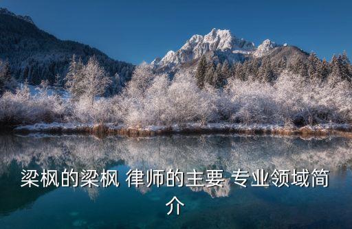 梁楓的梁楓 律師的主要 專業(yè)領(lǐng)域簡介