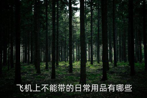 飛機(jī)不能帶的東西,高鐵飛機(jī)不能帶的東西