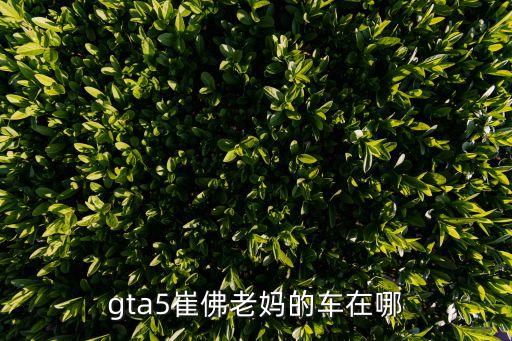 gta5崔佛老媽的車(chē)在哪