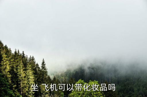 坐 飛機(jī)可以帶化妝品嗎
