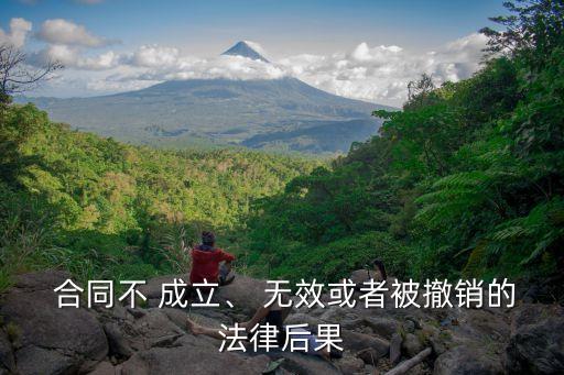  合同不 成立、 無效或者被撤銷的法律后果