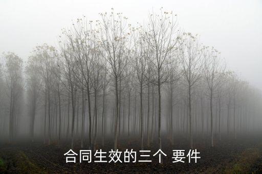 什么是合同的法律事實(shí)要件