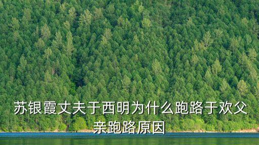 蘇銀霞