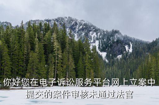 你好您在電子訴訟服務(wù)平臺(tái)網(wǎng)上立案中提交的案件審核未通過(guò)法官