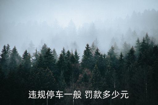 違停罰款多少,烏魯木齊違停罰款多少