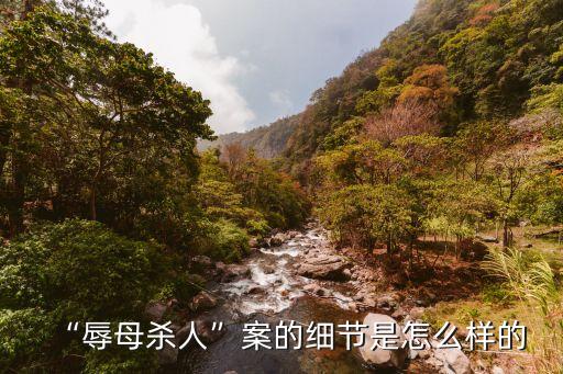 “辱母殺人”案的細(xì)節(jié)是怎么樣的
