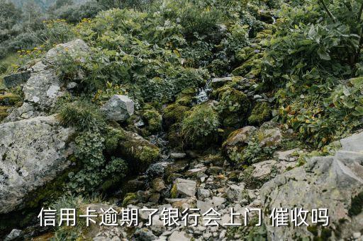 信用卡催收