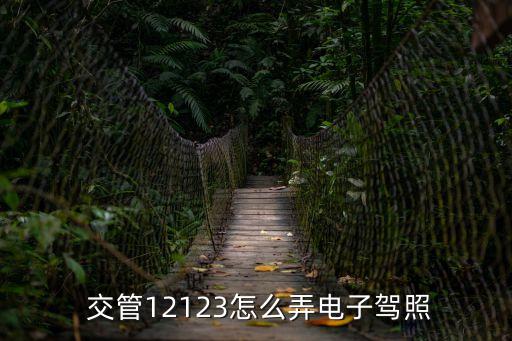 交管123123