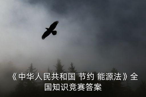 節(jié)約能源法
