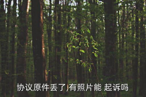 合同丟了怎么起訴,有聊天記錄無合同可以起訴么