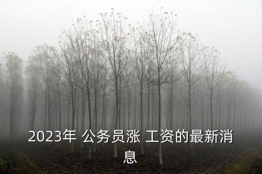 2023年 公務(wù)員漲 工資的最新消息
