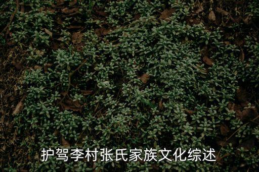 濟寧張輝,張輝濟寧地礦局