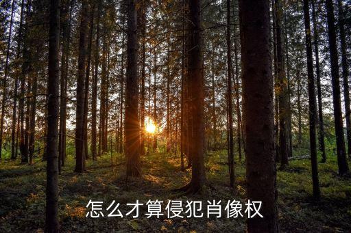 怎么才算侵犯肖像權(quán)