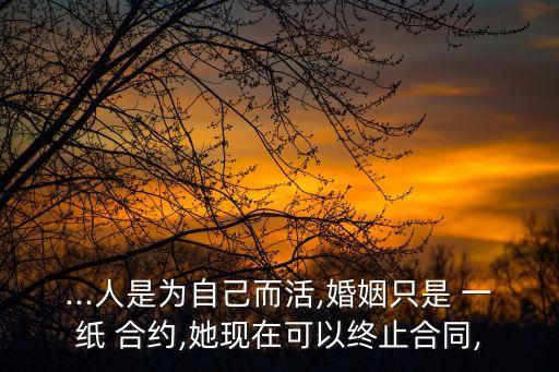 一紙合約,新資信平臺(tái)一紙合約