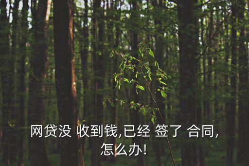 簽了借款合同沒有收到錢,網(wǎng)貸沒有收到借款合同成立嗎?