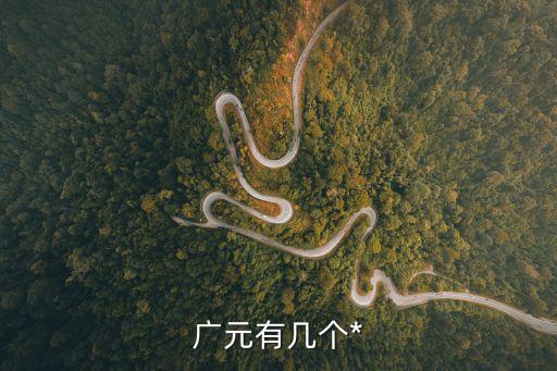 廣元*，廣元有幾個*