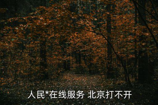  人民*在線服務(wù) 北京打不開