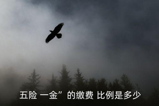 五險一金繳納比例
