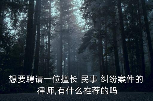 想要聘請一位擅長 民事 糾紛案件的 律師,有什么推薦的嗎
